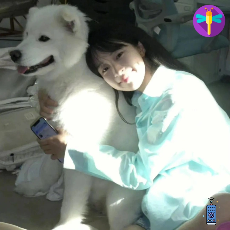 程先生
